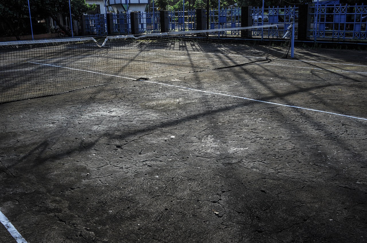 tennis lawn tennis court free photo