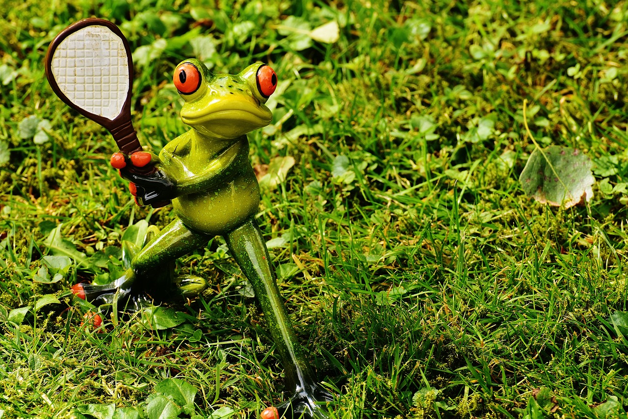 tennis frog leisure free photo