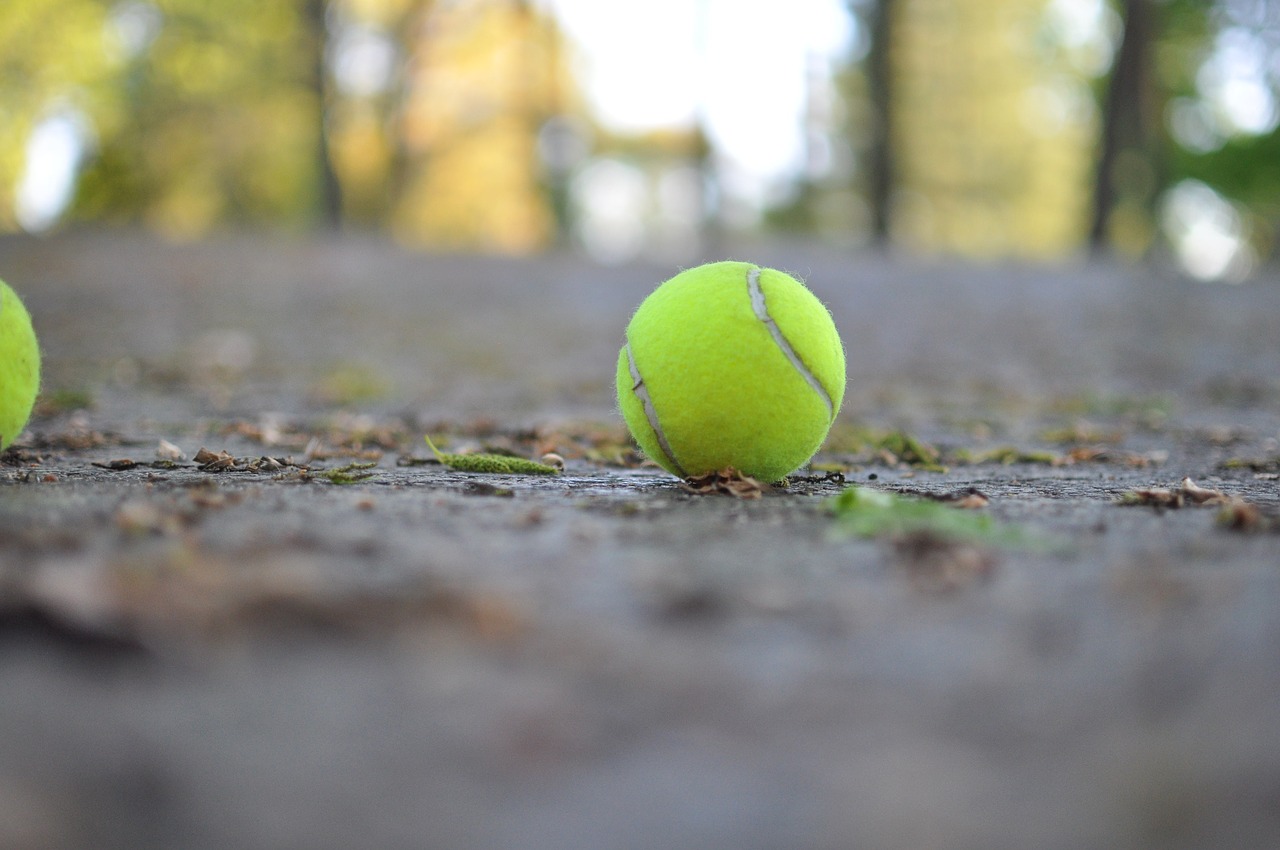 ball tennis sports free photo