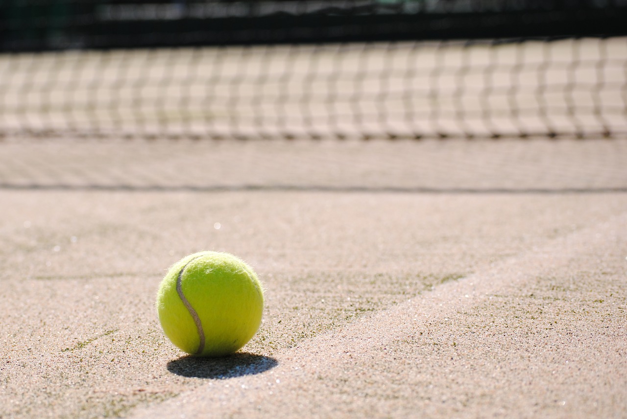 tennis ball tennis court free photo