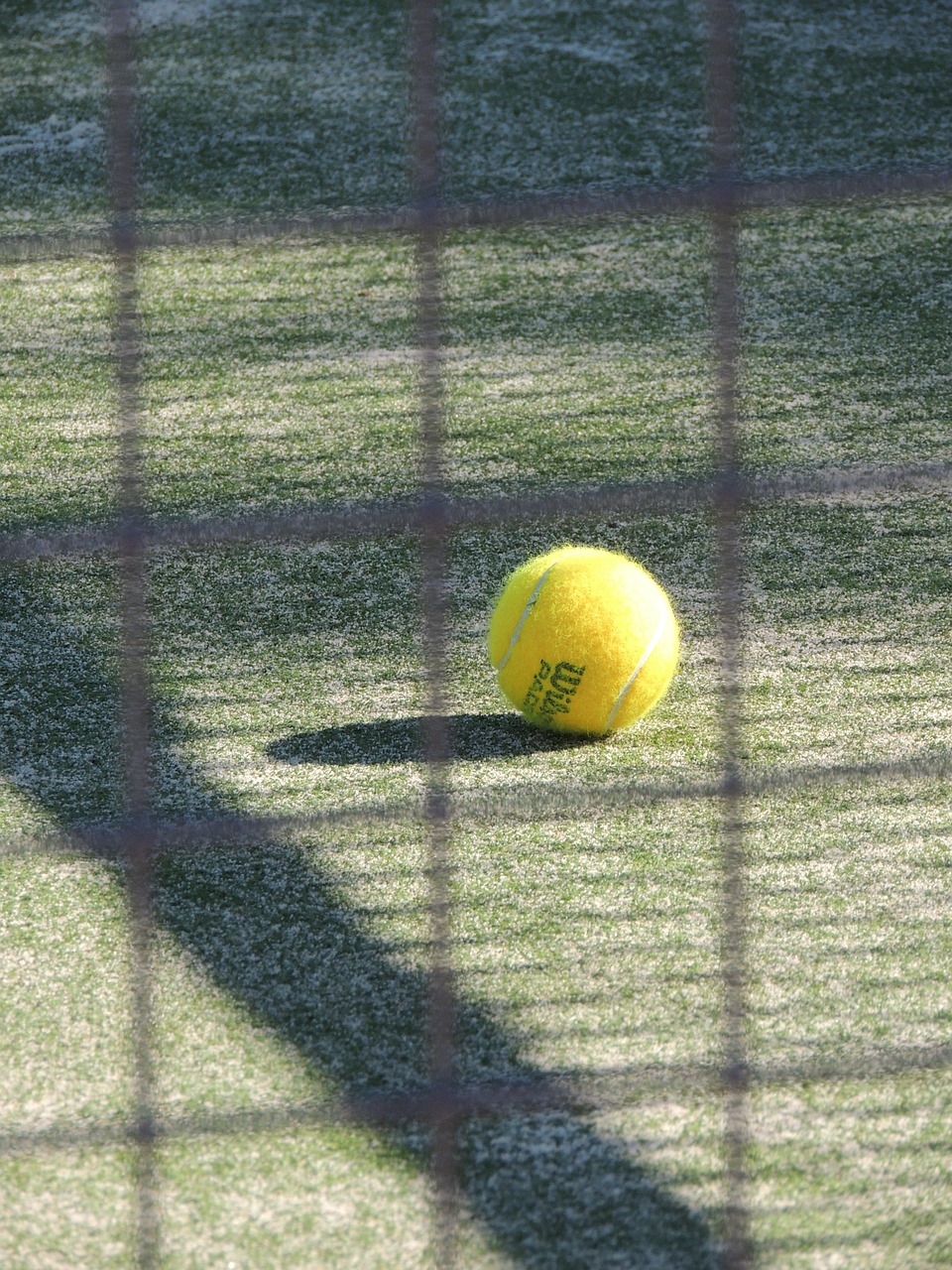 tennis sport paddle free photo