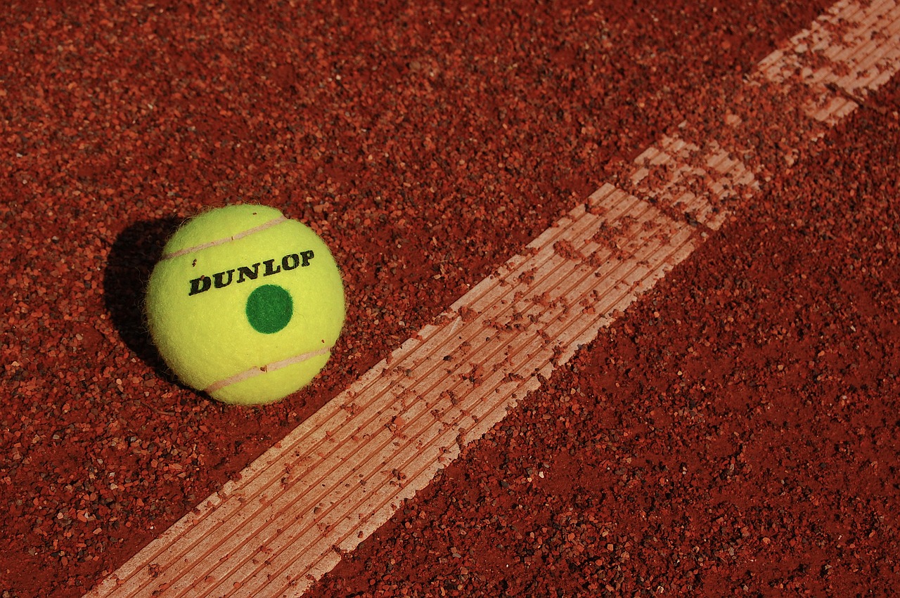 tennis tennis court ball free photo