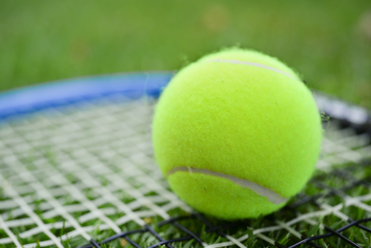tennis  ball  racket free photo