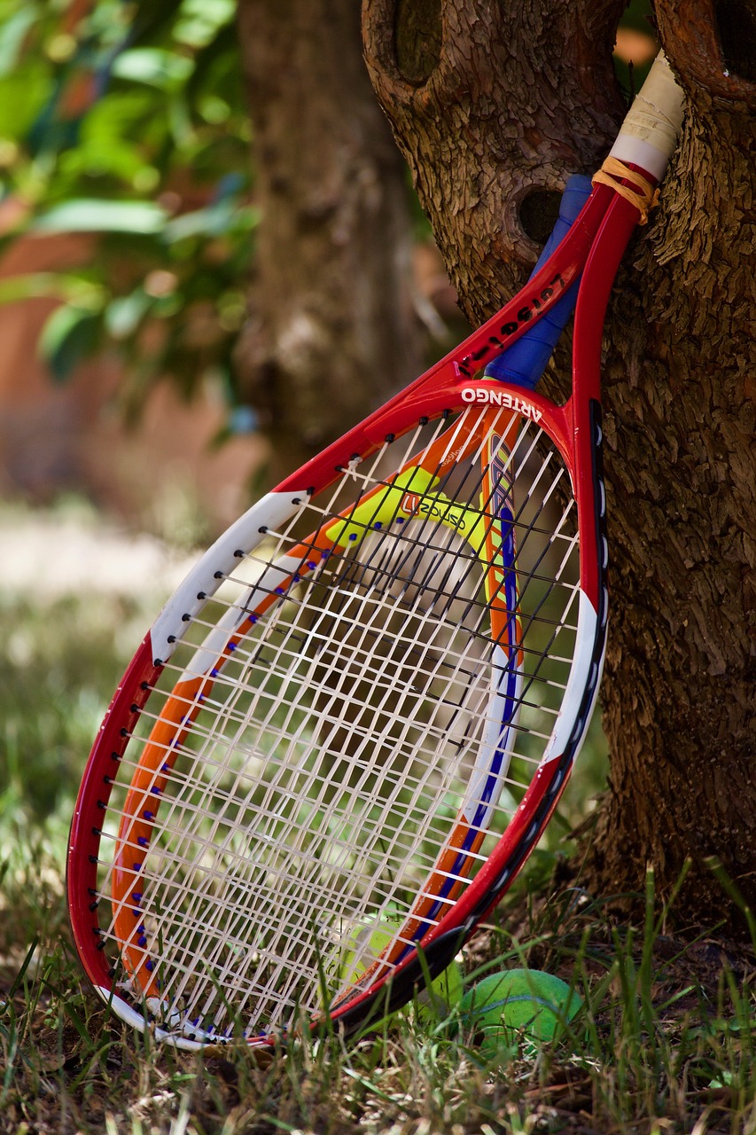 tennis  tennis rackets  balls free photo