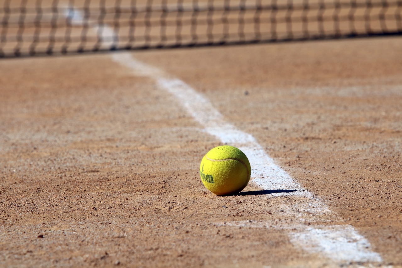 tennis  tennis courts  sport free photo