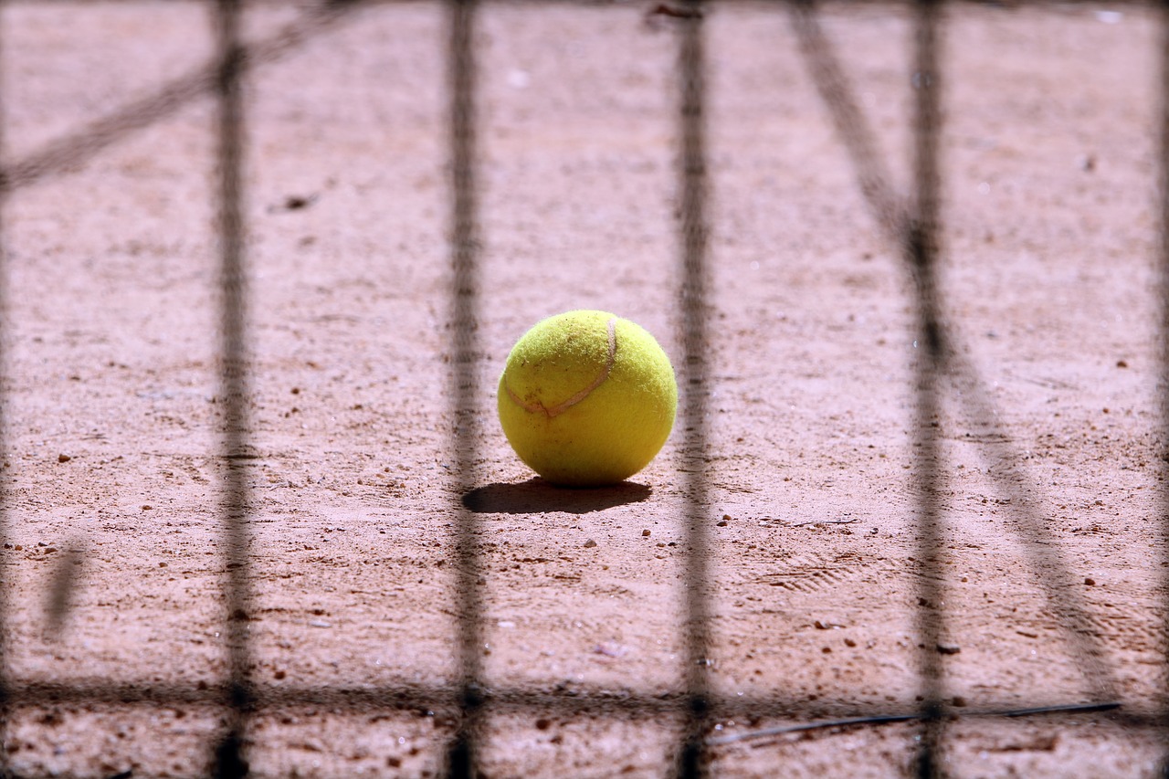 tennis  tennis ball  sport free photo