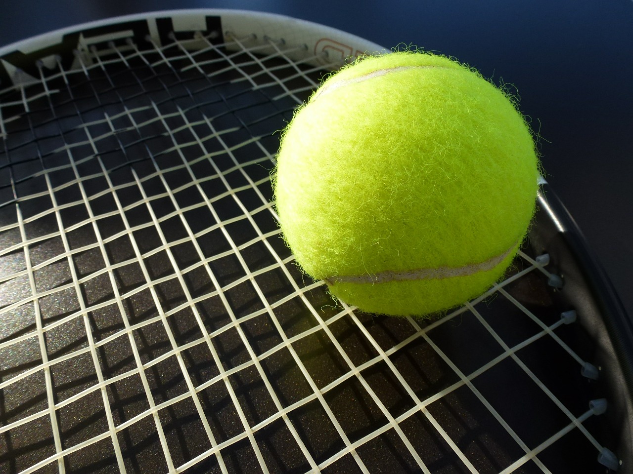 tennis tennis ball tennis racket free photo