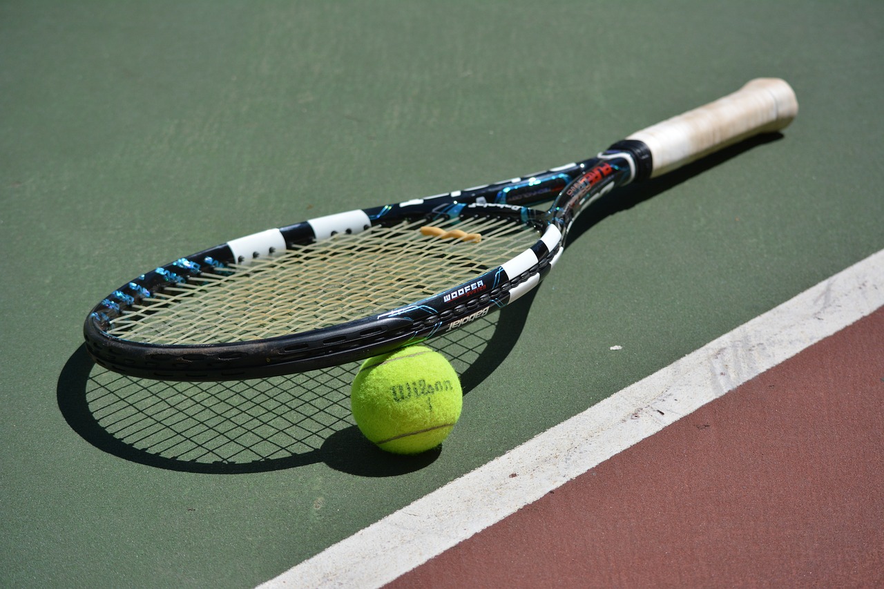 tennis  sport  racquet free photo