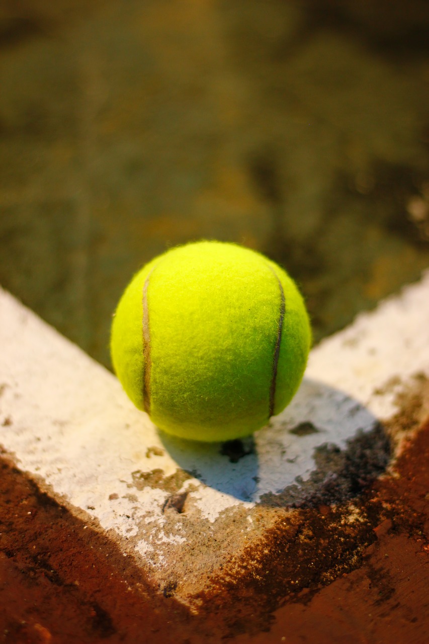 tennis ball sport free photo