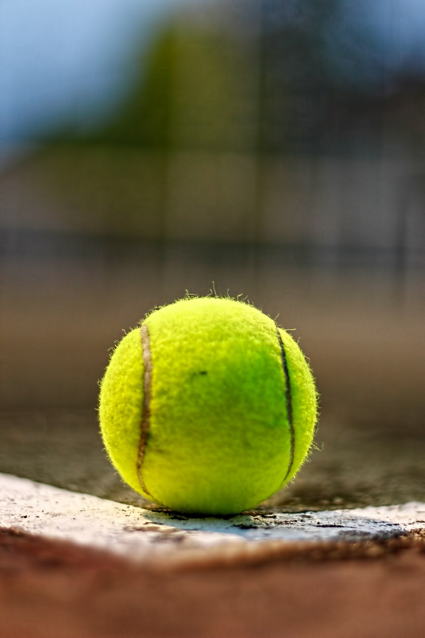 tennis ball sport free photo