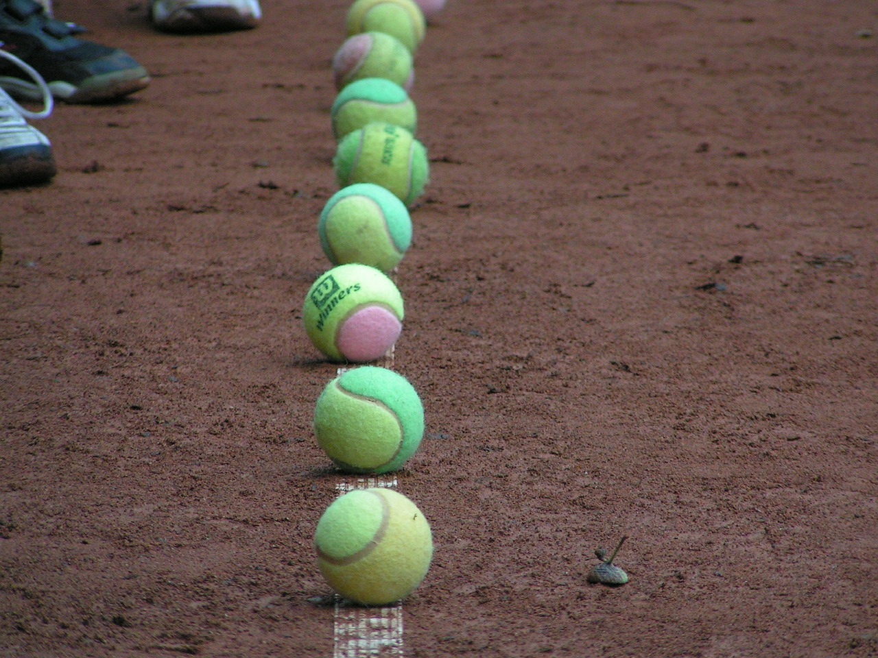 tennis tennis ball ball free photo