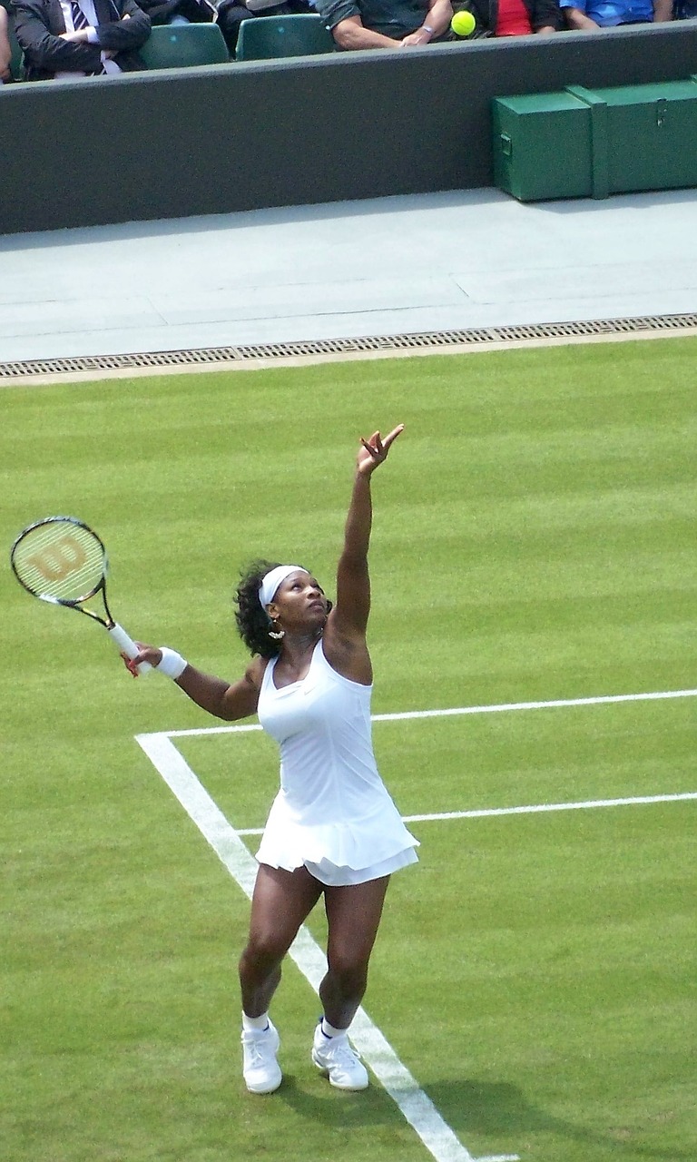 tennis professional woman free photo