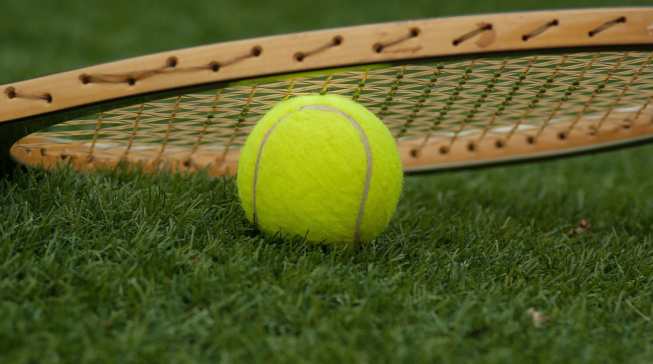 tennis ball racket tennis free photo