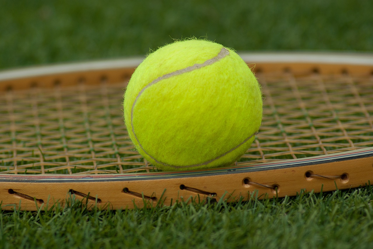 tennis ball racket tennis free photo