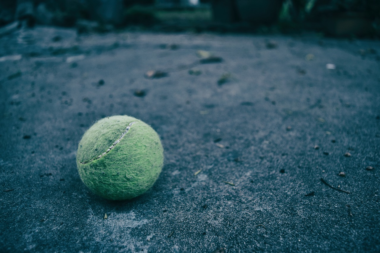 tennis ball tennis soil free photo