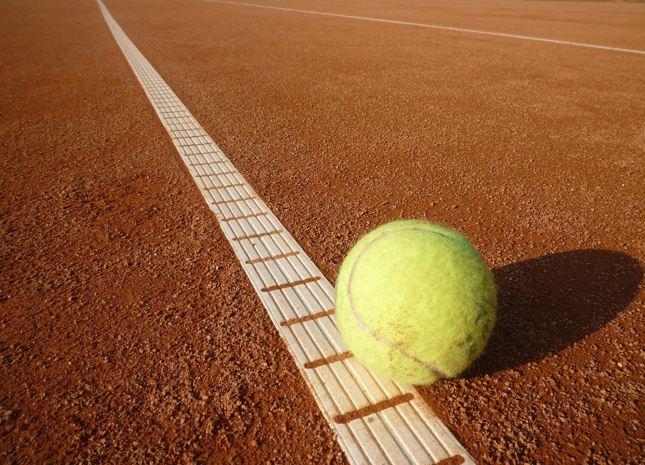 tennis ball tennis court tennis free photo