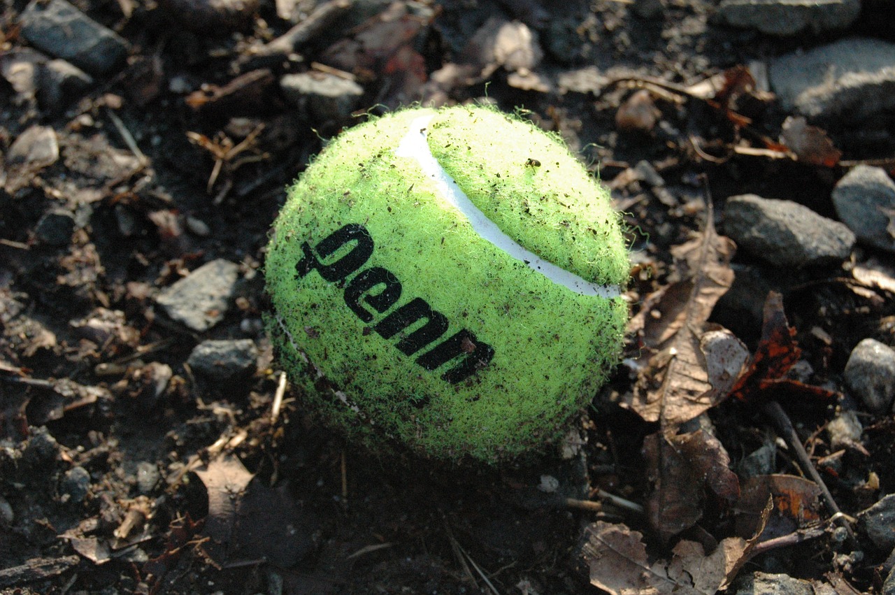 tennis ball dirty ball free photo