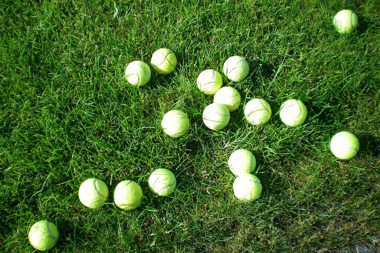 tennis balls mess meadow free photo