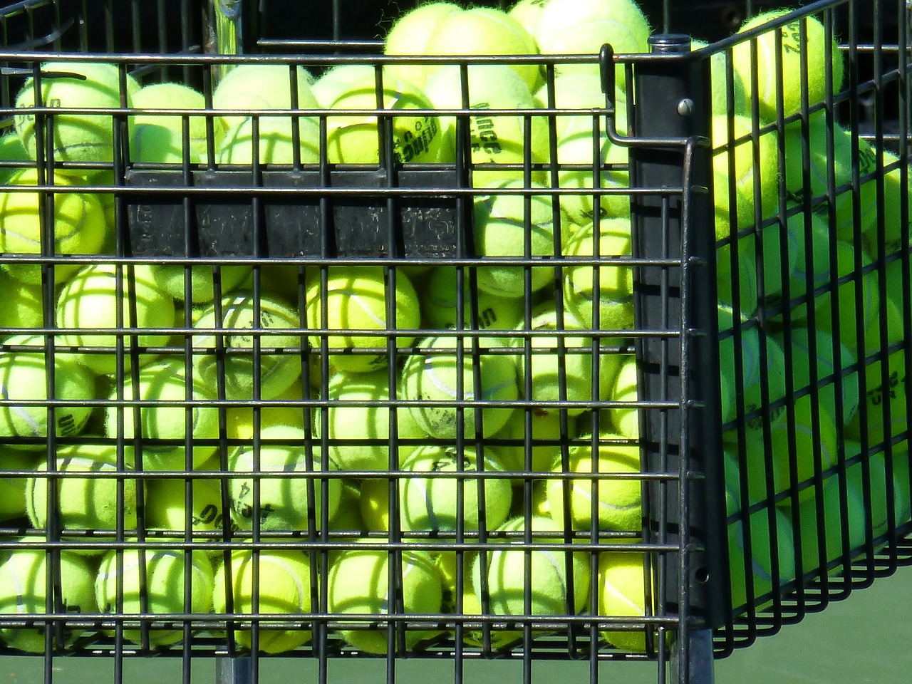 tennis balls  sports  basket free photo