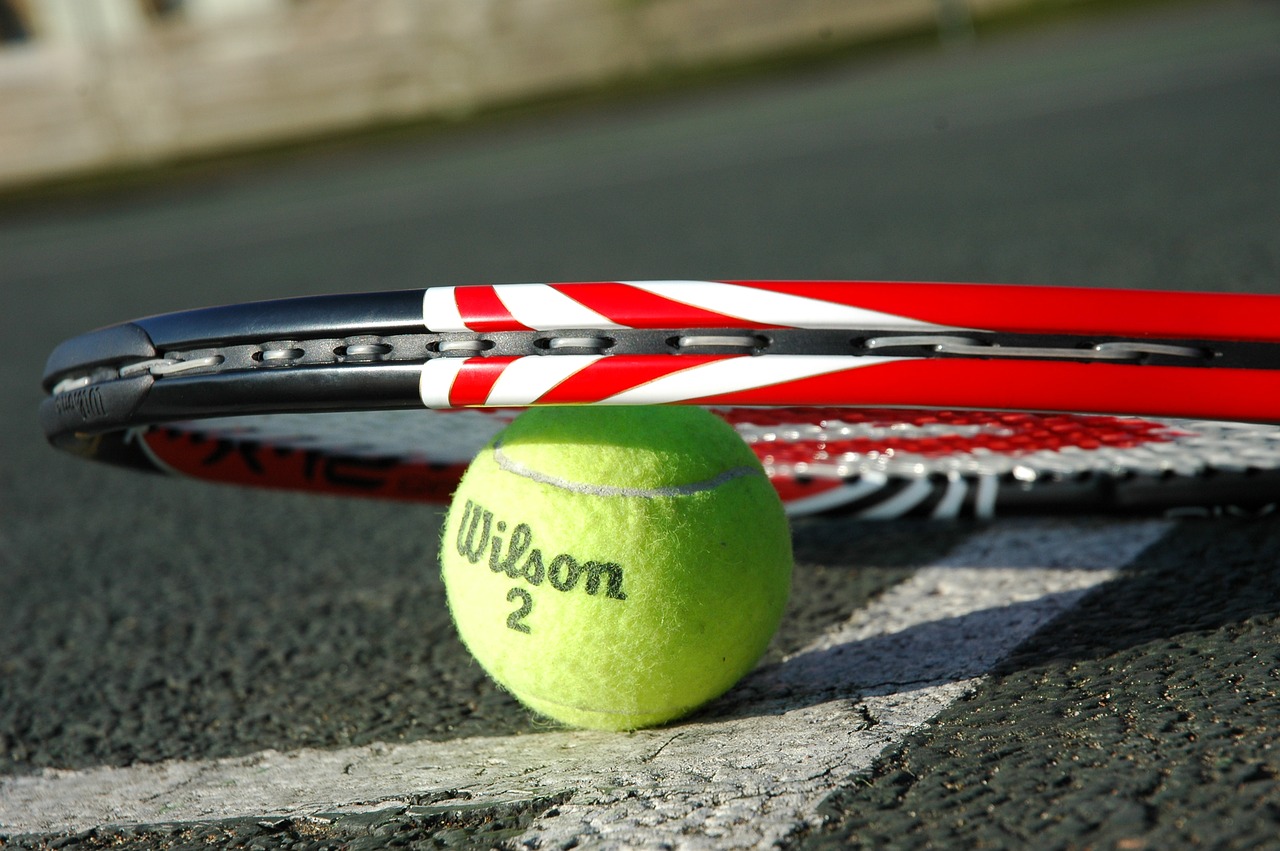 tennis racket tennis ball tennis free photo