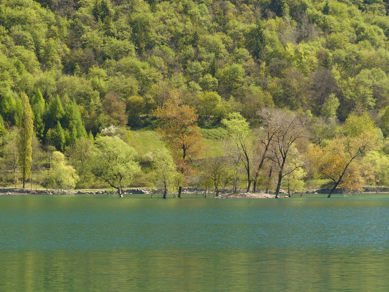 tenno lake lake waters free photo