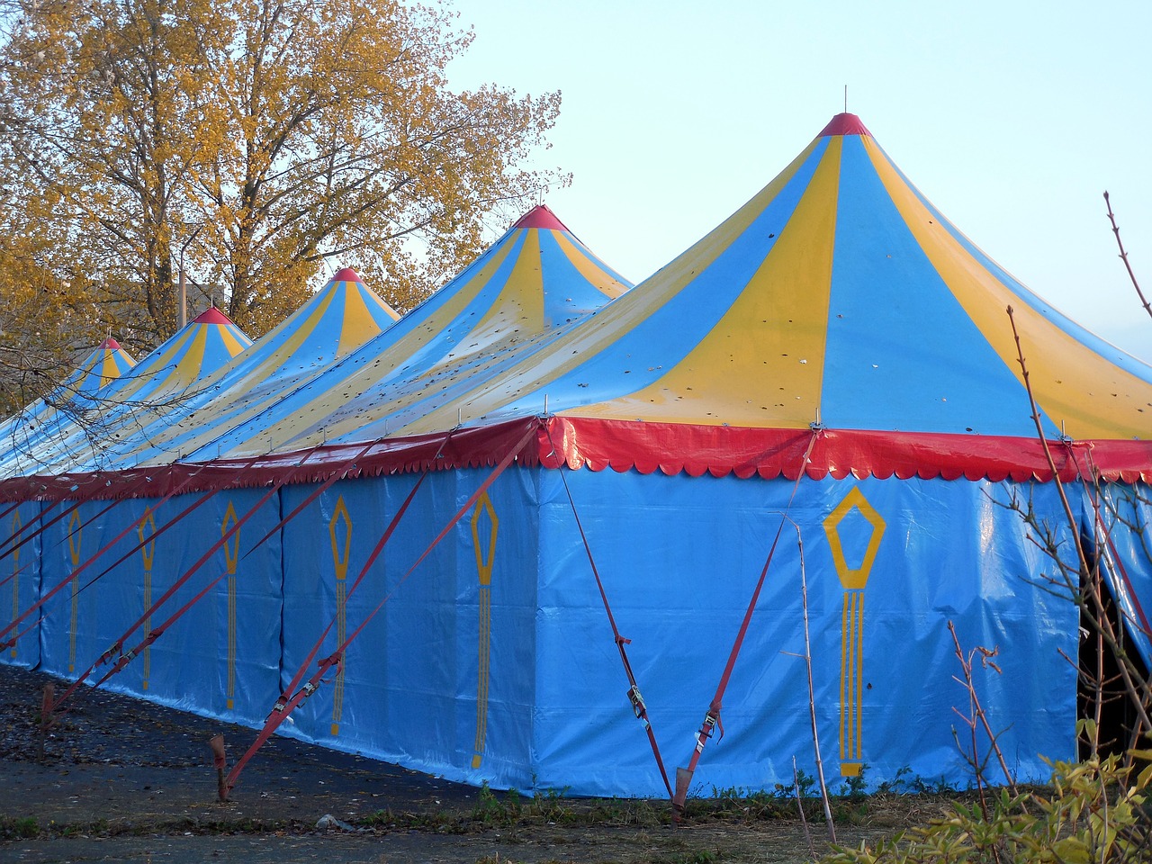 tent circus circus tent free photo