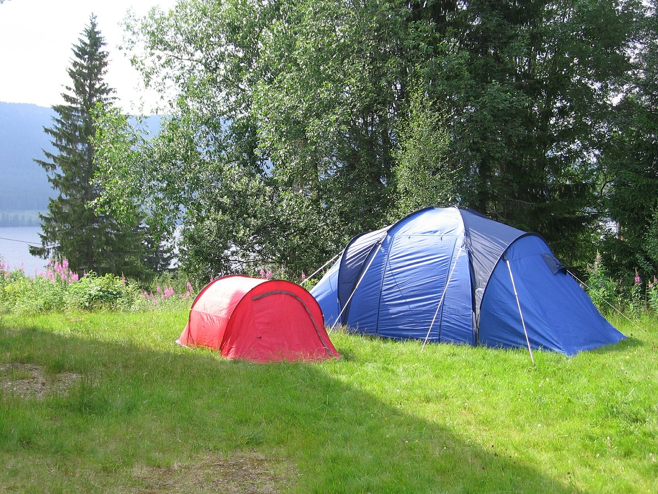 tent summer camping free photo