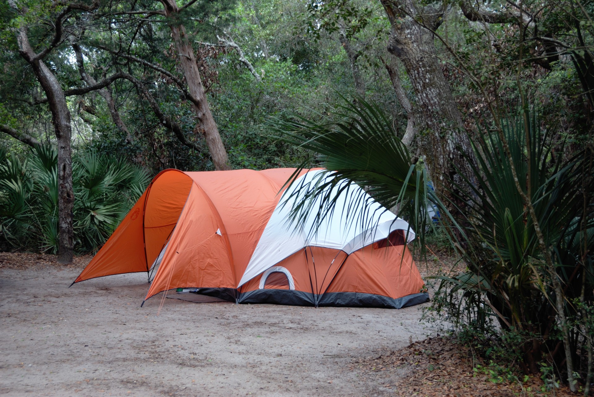 camping coastline florida free photo