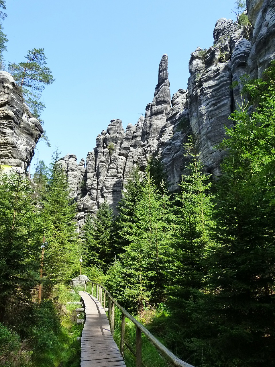 teplice rocks nature forest free photo