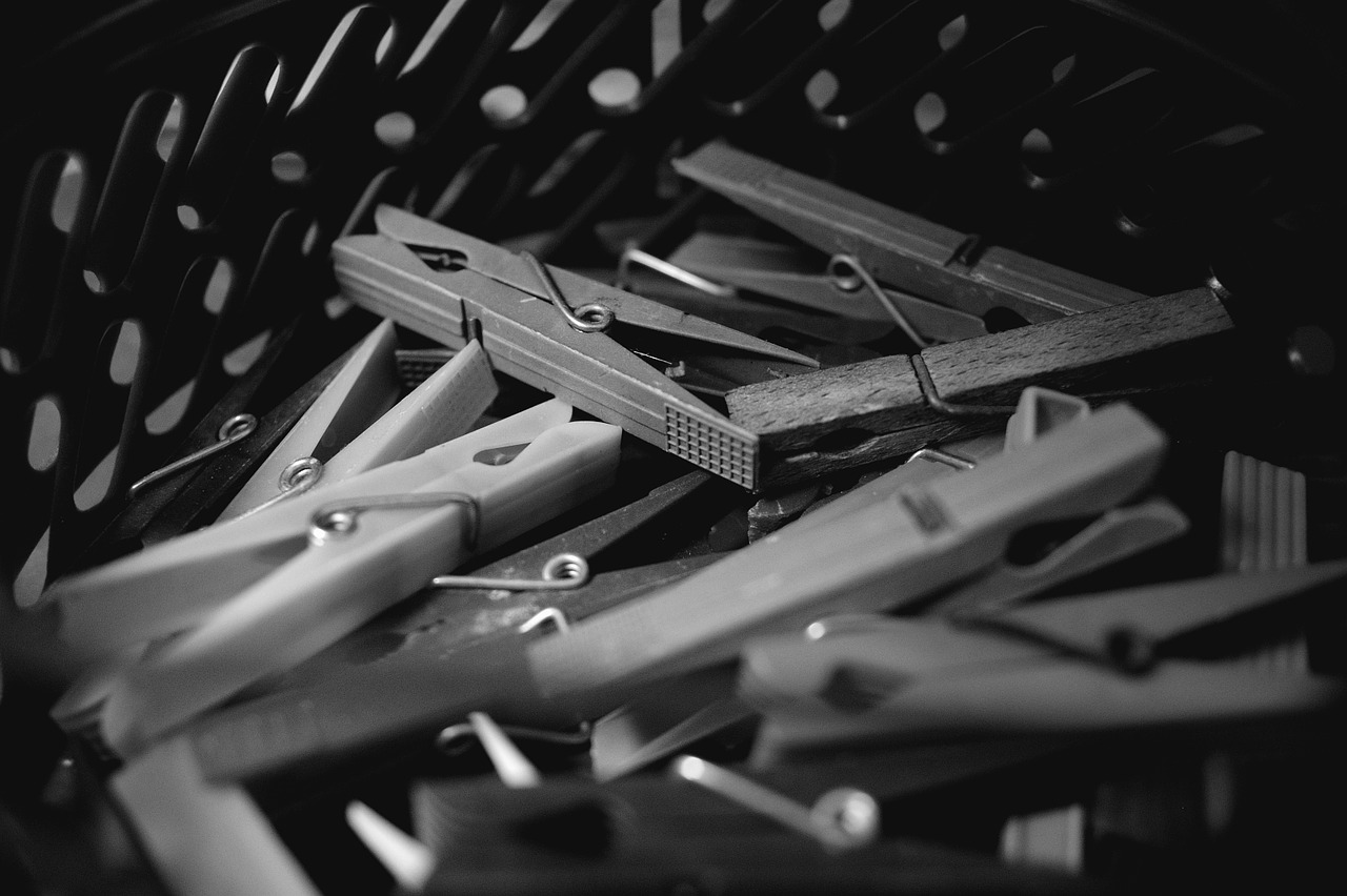 terminals clothespin clips in basket free photo