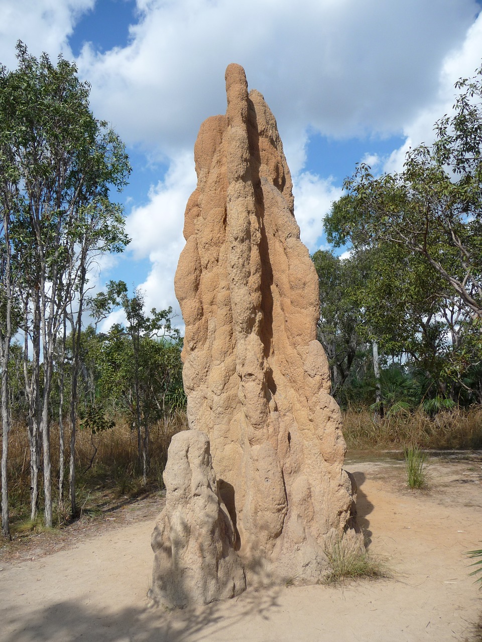 termite hill australia landscape free photo