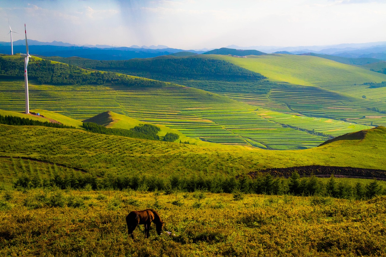 terrace fields agriculture free photo