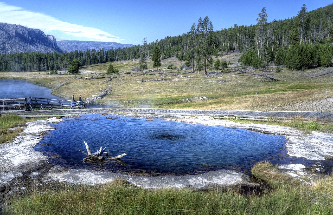 terrace hot springs  yellowstone national park  postcard free photo