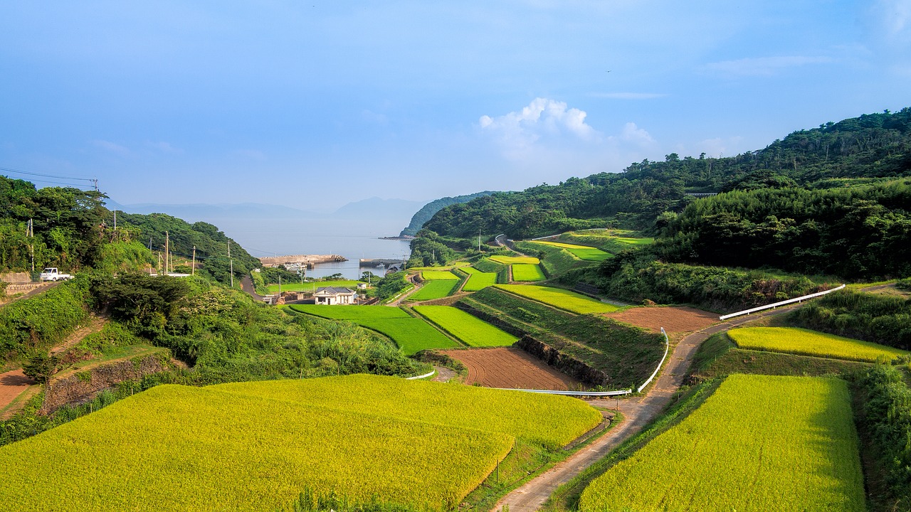 terraced fields japan the countryside free photo