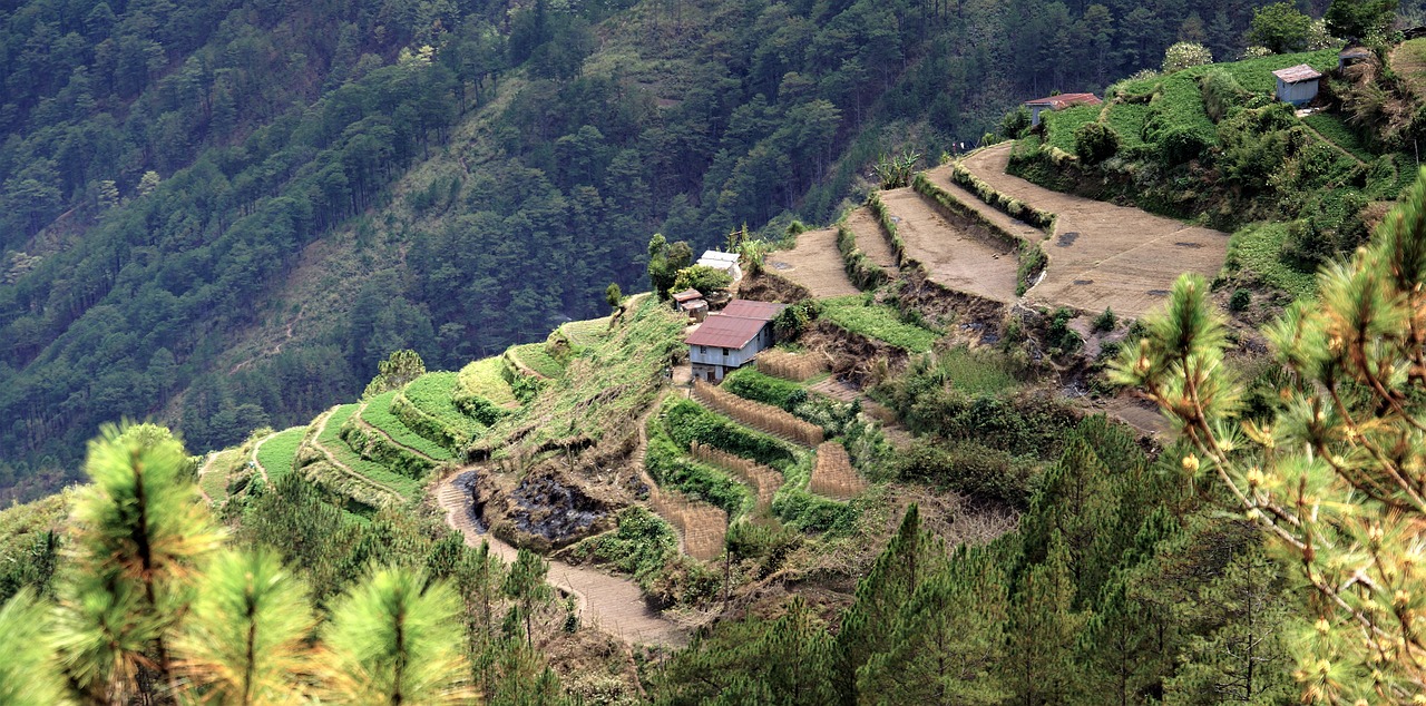 terraces sagada philippines free photo