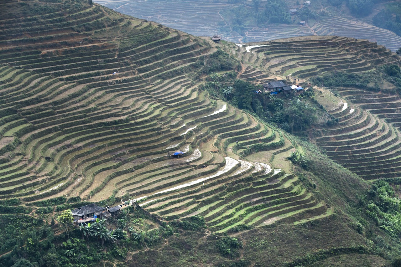 terraces  scenery  sơnla free photo