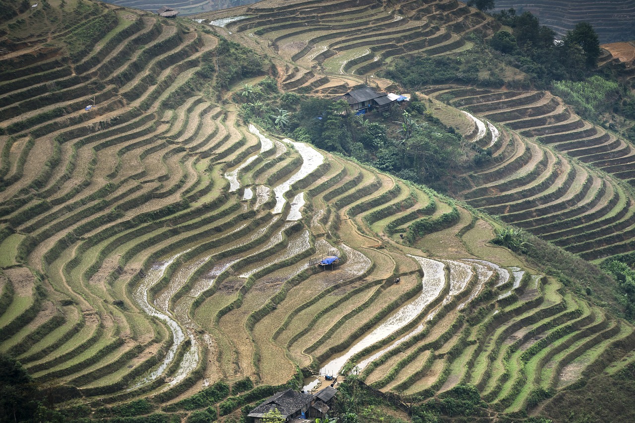 terraces  scenery  son la free photo