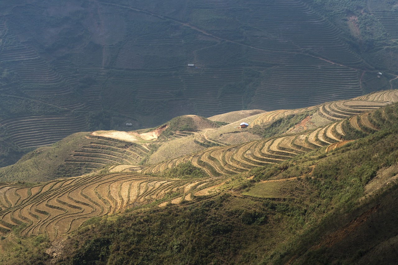 terraces  scenery  sơnla free photo