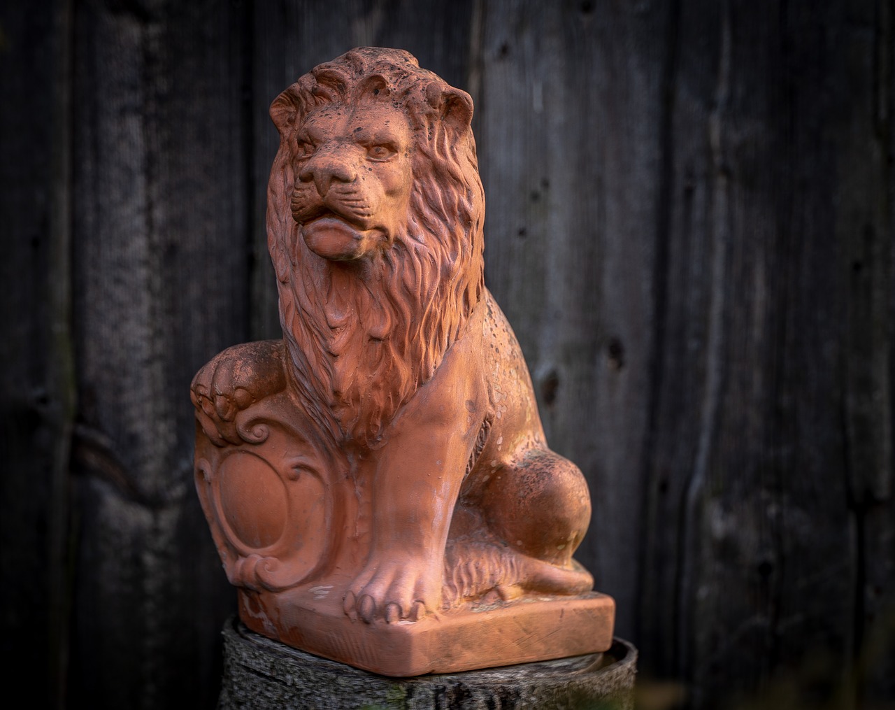 terracotta  decoration  lion free photo