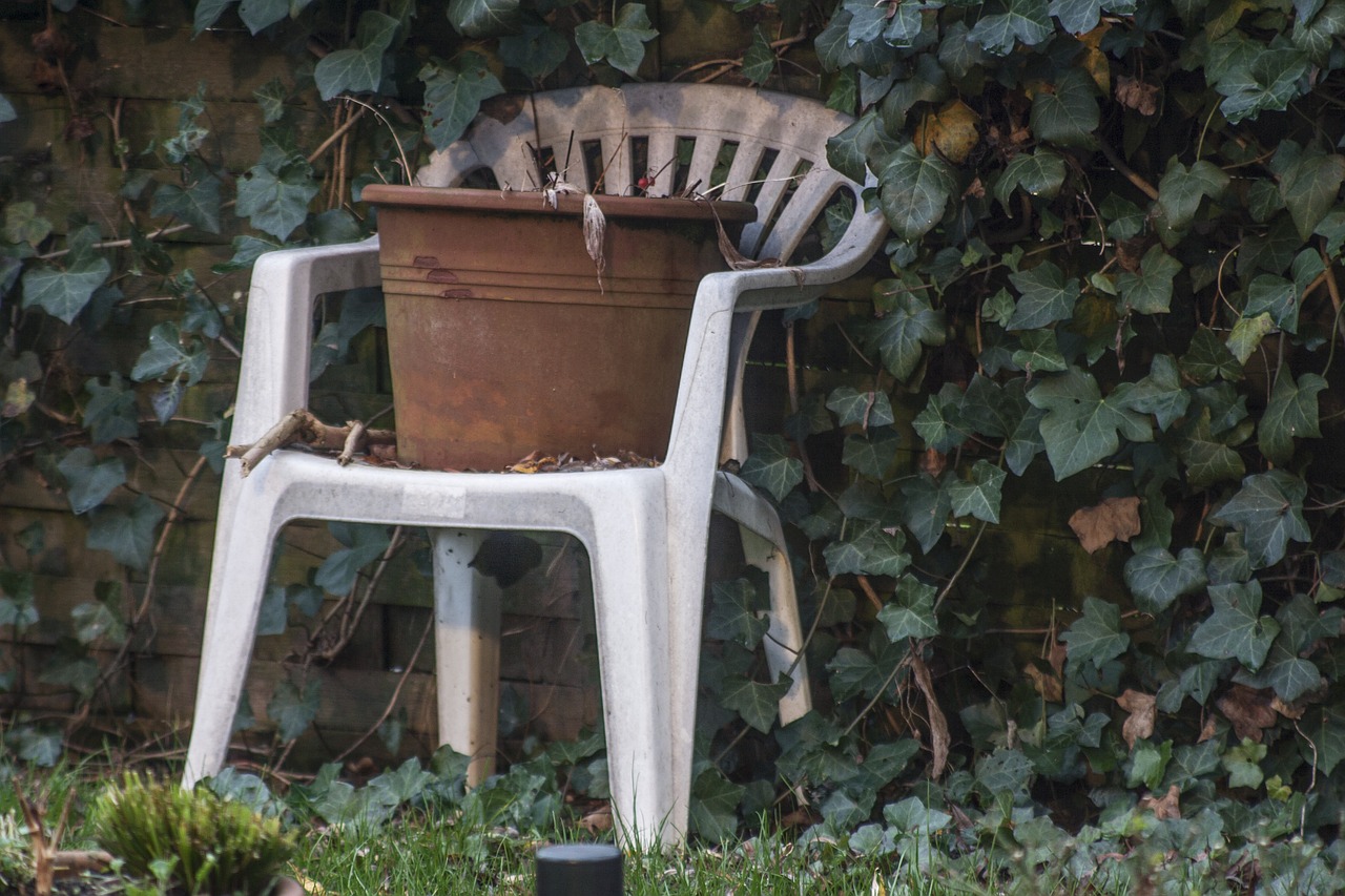 terracotta chair ivy free photo
