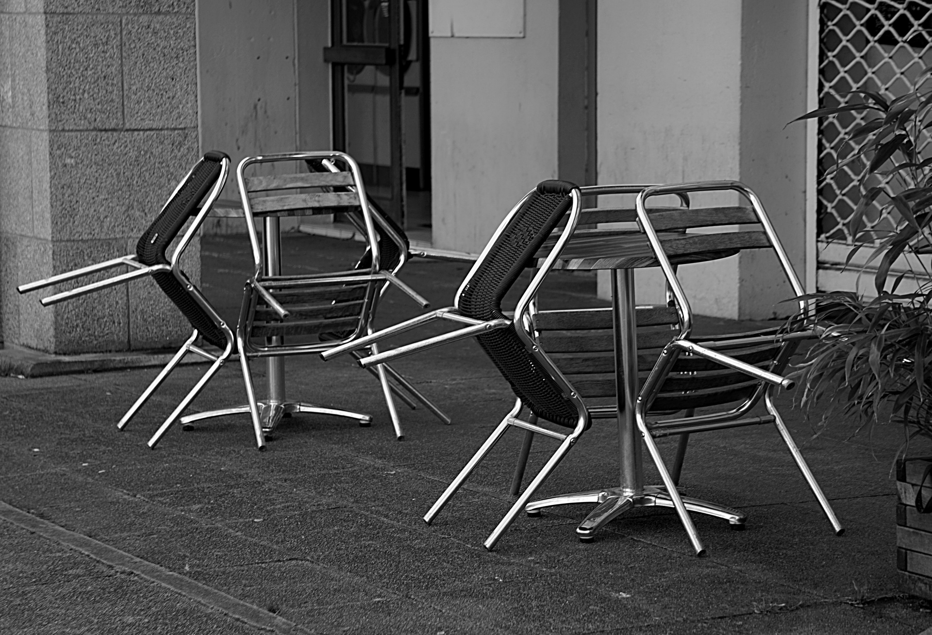 tables chairs black white free photo