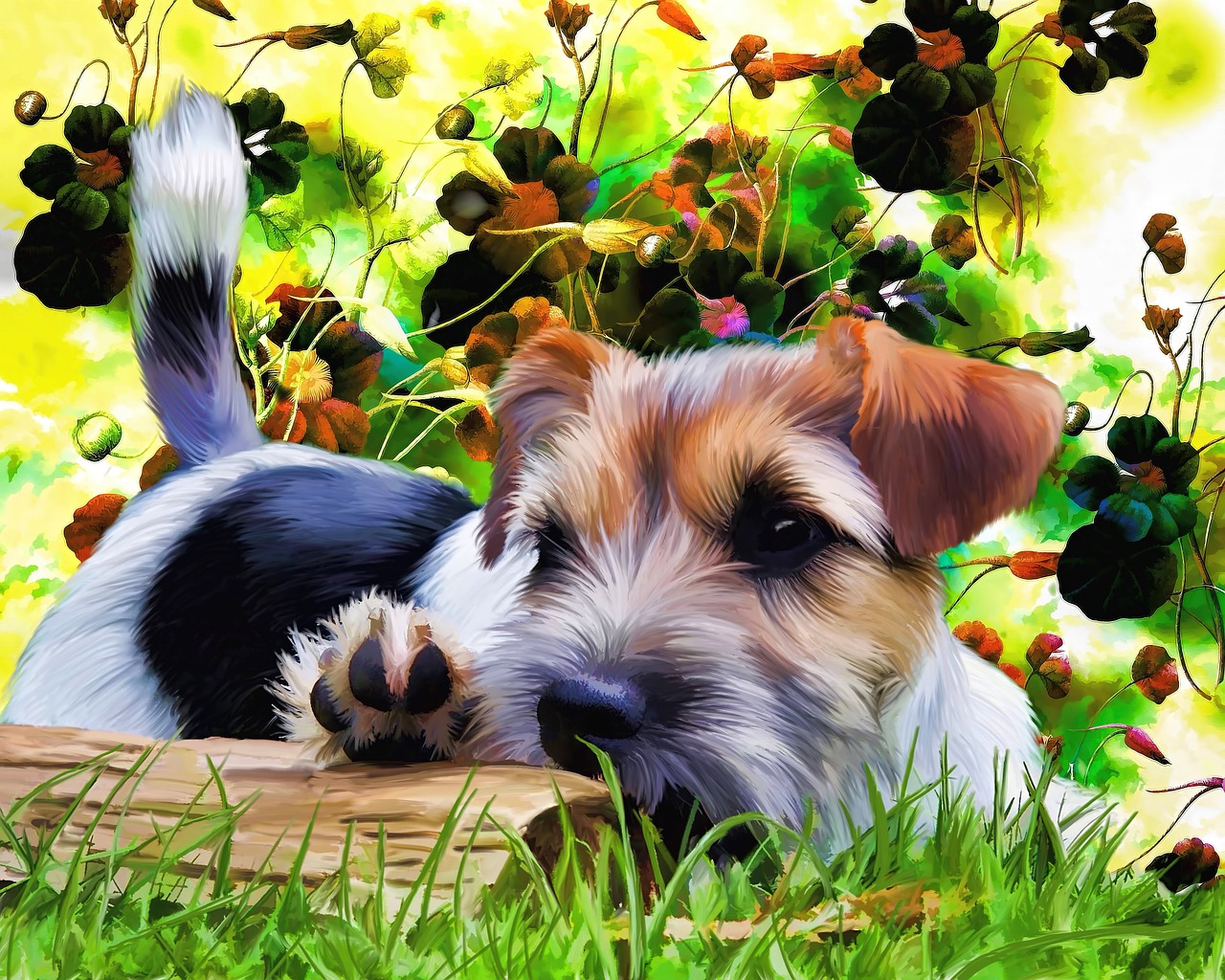 terrier puppy dog free photo