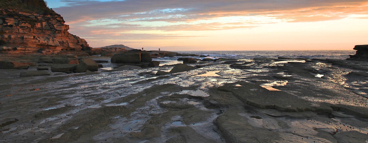 terrigal central coast new south wales free photo