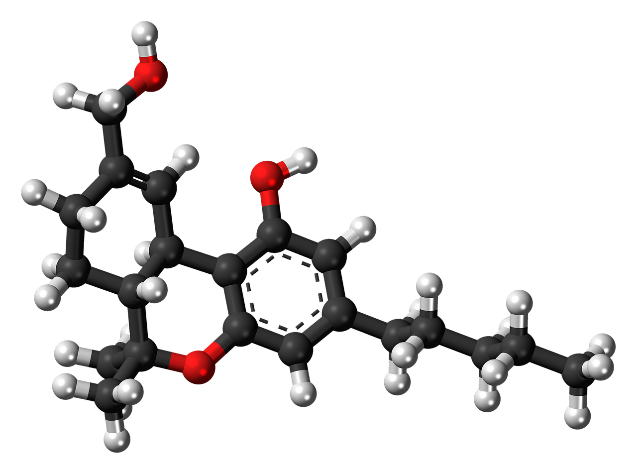 tetrahydrocannabinol metabolite hydroxy free photo