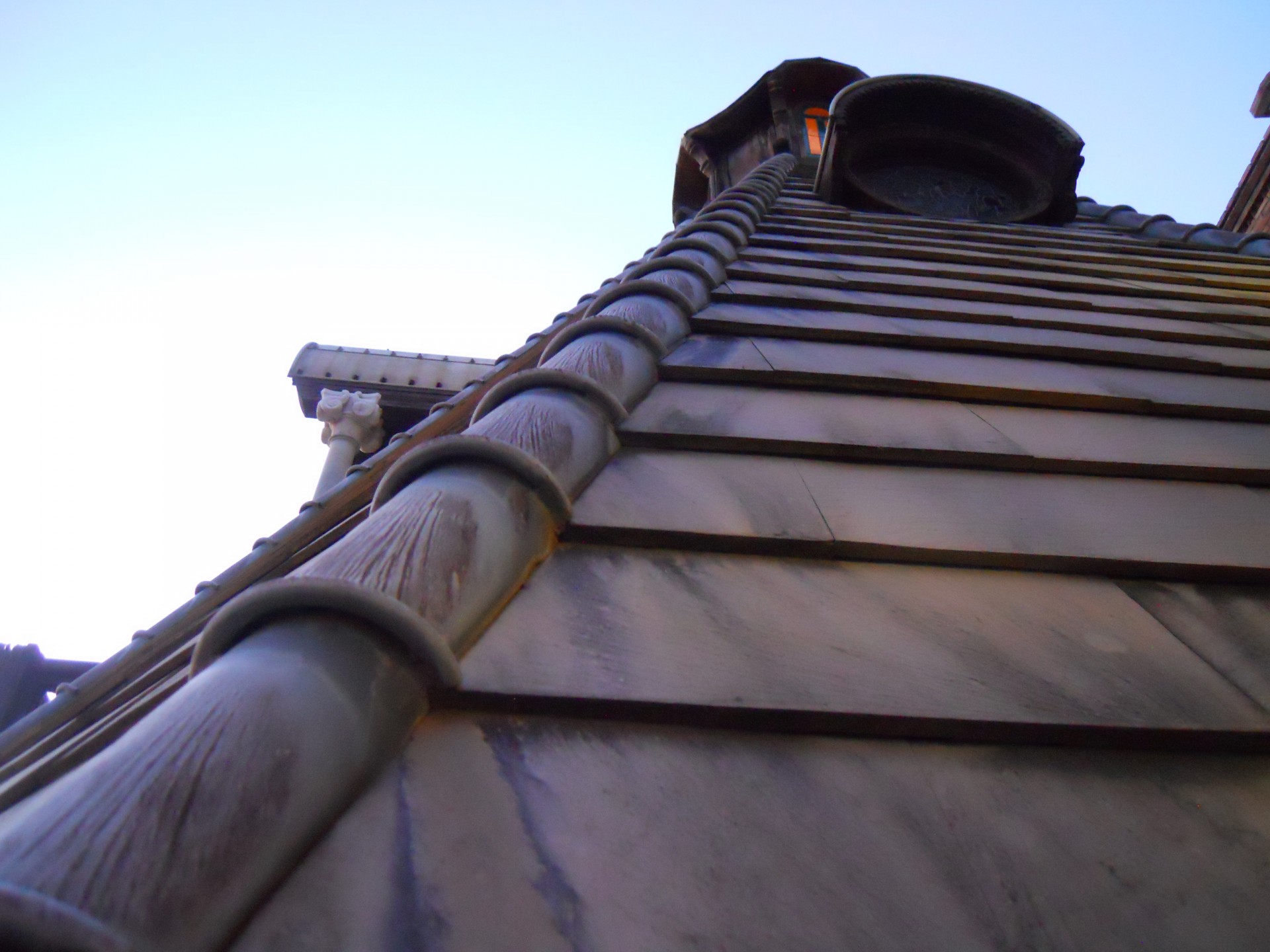 hoot owls villa torlonia roof tiles free photo