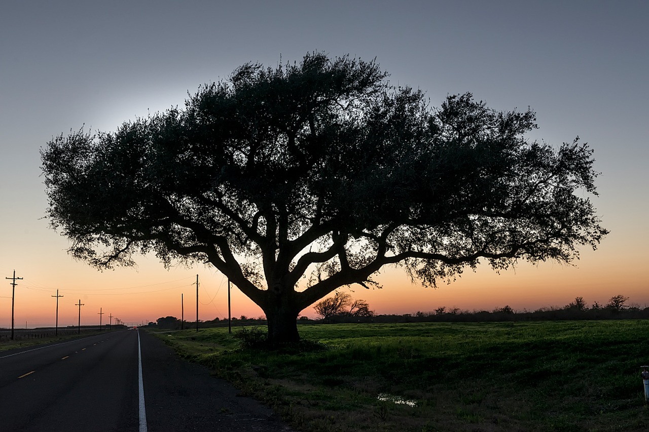 texas road sunset free photo