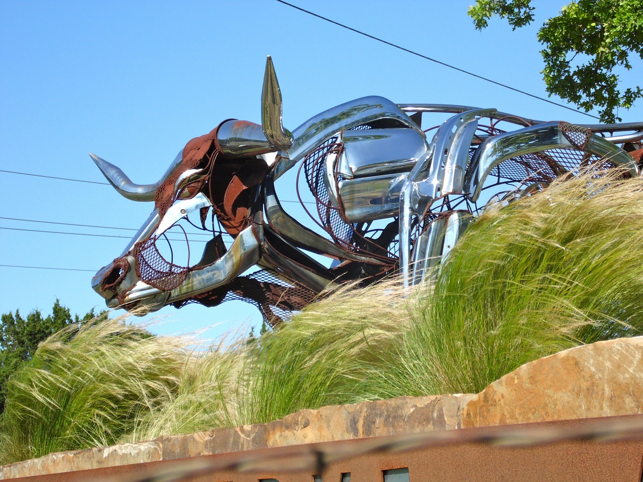 texas longhorn metal art free photo