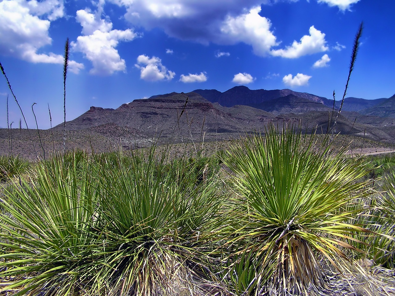 texas landscape scenic free photo