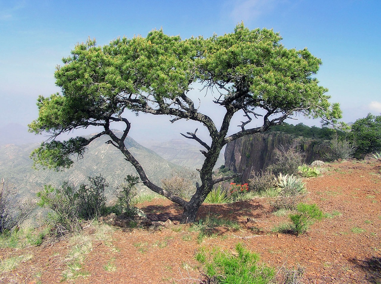 texas landscape scenic free photo