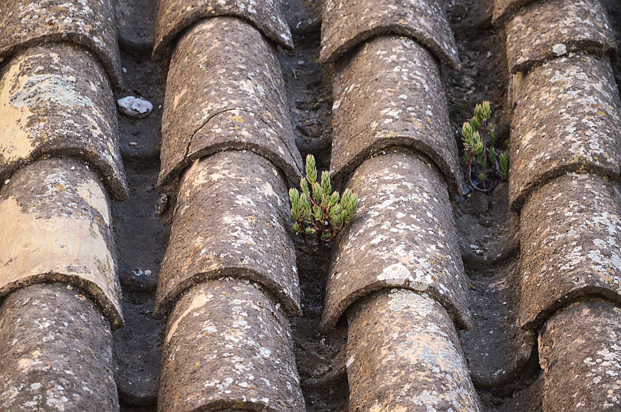 texas clay tiles rustic free photo